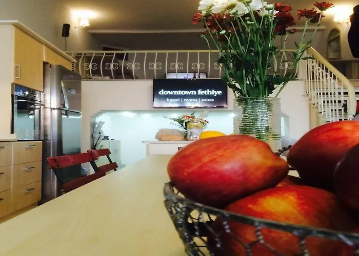 旅馆 Downtown Cozy