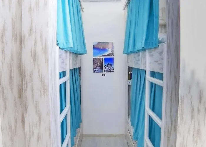 Downtown Cozy * 费特希耶